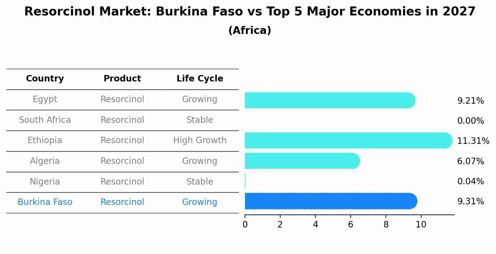 Resorcinol Market: Burkina Faso vs Top 5 Major Economies in 2027 (Africa)